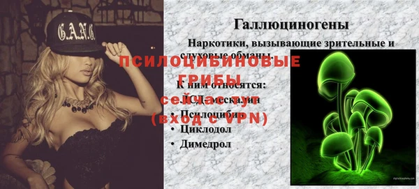 кокс Аркадак