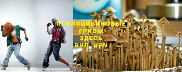 эйфоретик Армянск