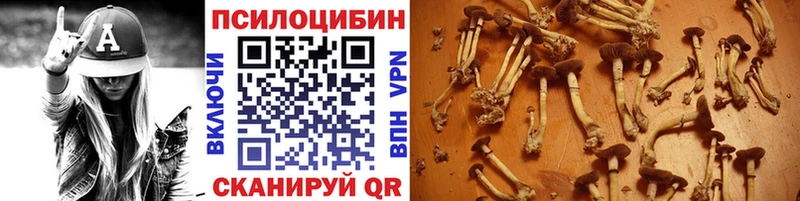 как найти закладки  Советск  Псилоцибиновые грибы ЛСД 